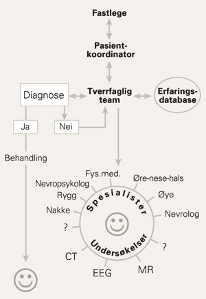 Tverrfaglig team benyttes for &aring; utrede en komplisert lidelse, f.eks. en pasient med hodeskade med tydelige symptomer, men&hellip;