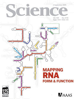 Artikkelen ble 5.5. 2006 publisert i det prestisjetunge tidsskriftet Science (www.sciencemag.org). Gjengitt med tillatelse. &hellip;