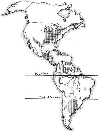 Figur 4  Histoplasmose: Utbredelsen i Nord-, Mellom- og S&oslash;r-Amerika. Skravering indikerer omr&aring;der med h&oslash;y forekomst&hellip;