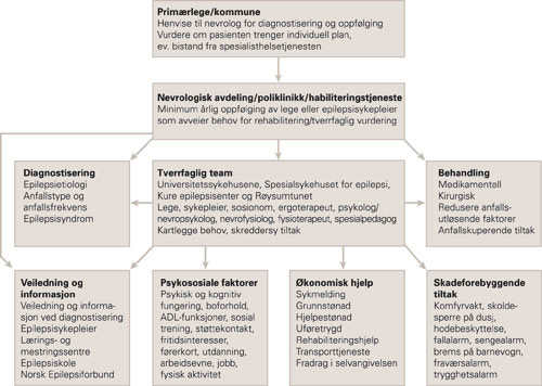 Elementer som b&oslash;r inng&aring; i vurderingen ved rehabilitering av epilepsipasienter