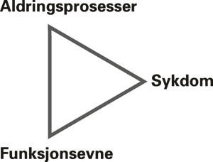 Den geriatriske trekant. Etter Sletvold og medarbeidere (10)