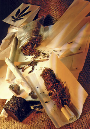 Figur 2  Forskjellige produkter fra t&oslash;rkede cannabisplanter. Foto &copy; Science Photo Library/GV-Press