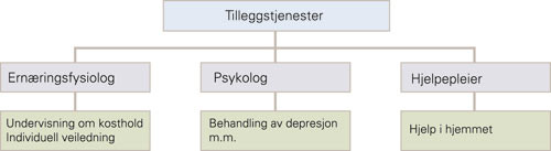 Tilleggstjenester ved lungerehabilitering