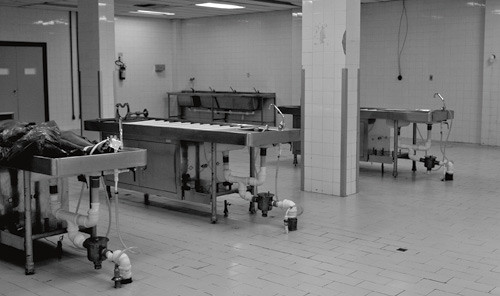 Den neste p&aring; obduksjonslisten, en uidentifisert mann i 20-&aring;rene, skutt i magen, er kommet inn i l&oslash;pet av natten. Alle foto&hellip;