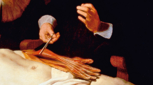 Figur 3  Detalj av maleriet med den dissekerte venstre overekstremiteten. Med arteriepinsett l&oslash;fter dr. Tulp opp den&hellip;