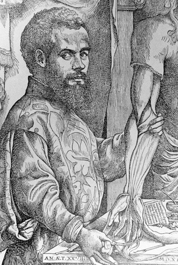 Figur 4  Andreas Vesalius slik han ble fremstilt p&aring; et tresnitt fra 1542. Dette ble brukt som tittelblad p&aring; hans store&hellip;