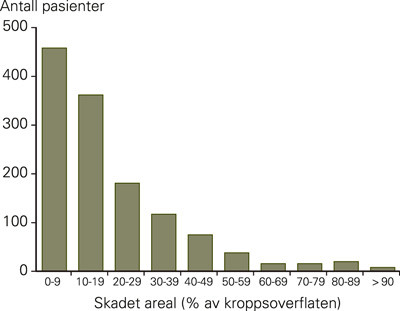 Figur 2  Antall pasienter 1984&thinsp;&ndash;&thinsp;2004 fordelt p&aring; skadet hudareal
