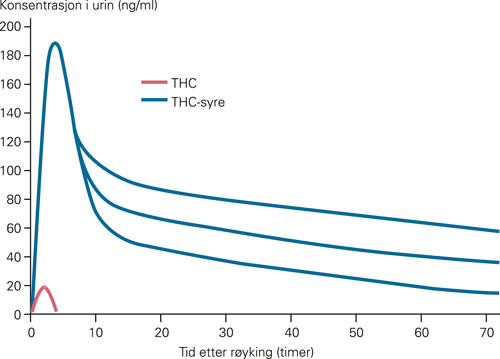 Figur 2 Prinsippskisse av konsentrasjonsprofilene av THC og THC-syre i urin etter r&oslash;yking av &eacute;n marihuanasigarett p&aring;&hellip;