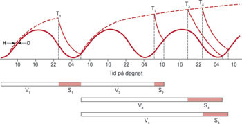 Figur 3  S&oslash;vnlengden er en funksjon av samvirket mellom s&oslash;vnbehov (hom&oslash;ostatisk faktor, H) og d&oslash;gnrytme (D). S&oslash;vnbehovet&hellip;