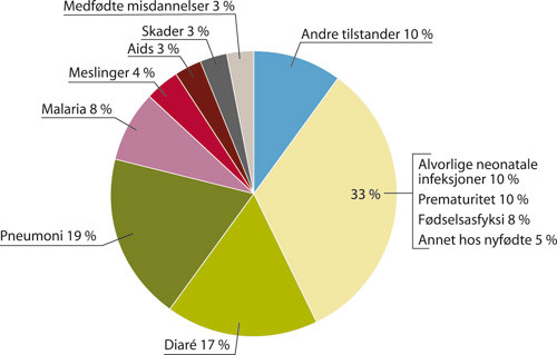 Figur 2  D&oslash;ds&aring;rsaker f&oslash;r fem&aring;rsalder. Modifisert etter figur utformet av UNICEF (2). Gjengitt med tillatelse fra UNICEF
