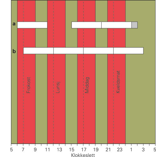 Figur 2  Hvordan dekke st&oslash;rst mulig del av d&oslash;gnet med penicillin? Her vises et helt d&oslash;gn fra klokken 5 til klokken 5 neste&hellip;
