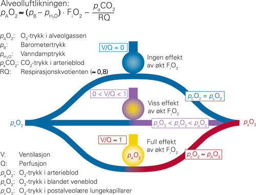 Figur 1  Alveolluft og lungeshunt. Alveolluftens oksygentrykk, pAO₂, bestemmes av barometertrykk, trykket av CO₂ i alveolene&hellip;