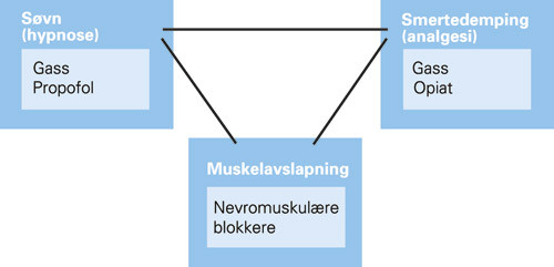 Figur 1  Legemidlene som benyttes under narkose, har ulike siktem&aring;l. Nevromuskul&aelig;re blokkere gir muskelrelaksasjon,&hellip;