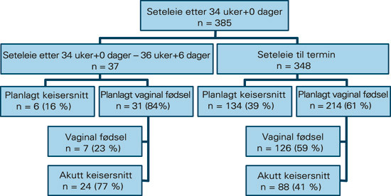 Figur 1  Fordeling av 385 seteleier ut fra planlagt f&oslash;dselsmetode