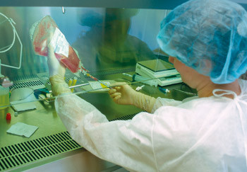 Illustrasjonsfoto &copy; BSIP/GV-Press/NordicPhotos