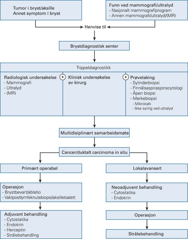 Figur 1  Sv&aelig;rt forenklet diagram for diagnostikk og behandling av brystkreft. Se for &oslash;vrig NBCGs retningslinjer (2)