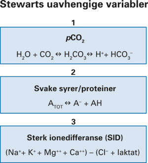 Figur 2  Stewarts tre uavhengige variabler som kontrollerer pH (15)