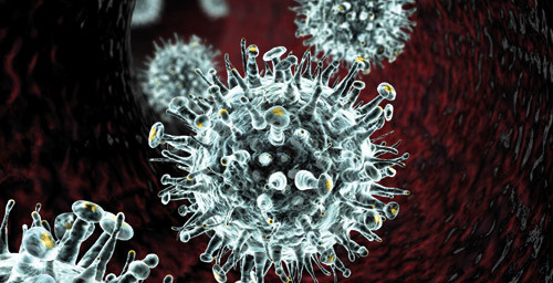 Foto: istockphoto.com