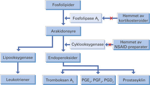 Figur 1 Virkningsmekanismen for ikke-steroide antiinflammatoriske midler (NSAID-preparater). PGE2 = prostaglandin type E₂,&hellip;