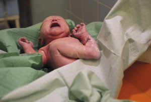 Illustrasjonsfoto Colourbox