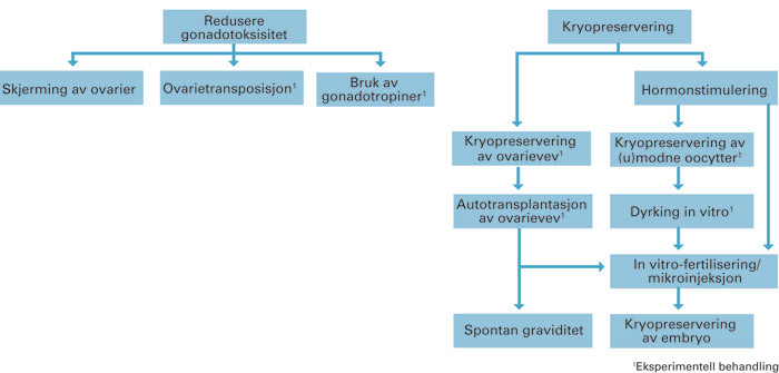 Figur 2  Skjematisk oversikt over fertilitetsbevarende metoder for voksne kvinner som kan utsette kreftbehandlingen