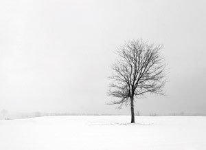 Illustrasjonsfoto Istockphoto