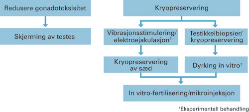 Figur 1  Skjematisk oversikt over fertilitetsbevarende metoder for prepubertale gutter og menn som ikke produserer s&aelig;dpr&oslash;ver