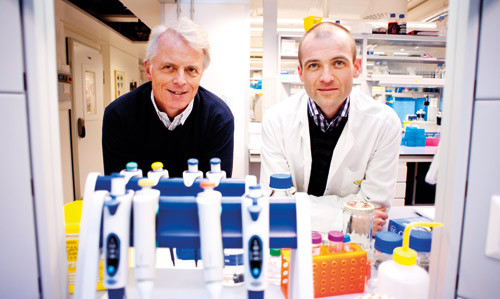 Stian Knappskog og Per Eystein L&oslash;nning, studiens f&oslash;rste- og sisteforfatter. Foto Ole-Christian Amundsen, Haukeland&hellip;