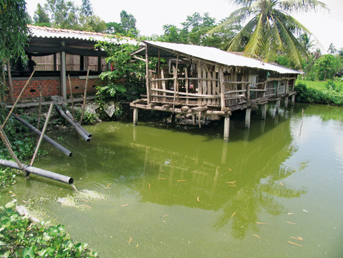 Dam for fiskeoppdrett med tilsluttende grisebinge. Foto FIBOZOPA. Gjengitt med tillatelse