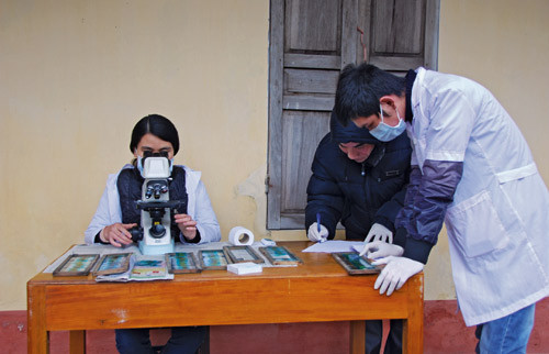 P&aring; leting etter parasittegg i avf&oslash;ringspr&oslash;ver. Foto Tore Lier