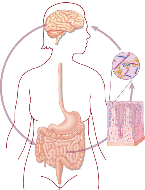 Figur 1  Psykiske, somatiske og mikrobielle faktorer p&aring;virker hverandre gjensidig. En rekke lidelser kan bero p&aring;&hellip;