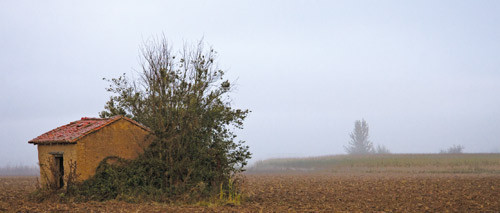 &Aring; starte dagen f&oslash;r solen st&aring;r opp gir stor glede og fine inntrykk &ndash; ikke bare for en ivrig amat&oslash;rfotograf!
