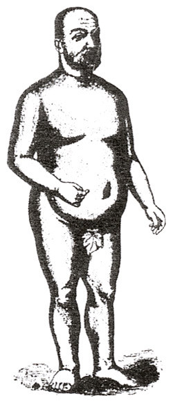 Fig. 7.  