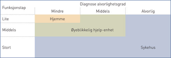 Figur 3  &laquo;Den omvendte L&raquo;: &Oslash;yeblikkelig hjelp-enheter ved sykehjem kan gi et tilbud til dem som er for syke til &aring; bli&hellip;