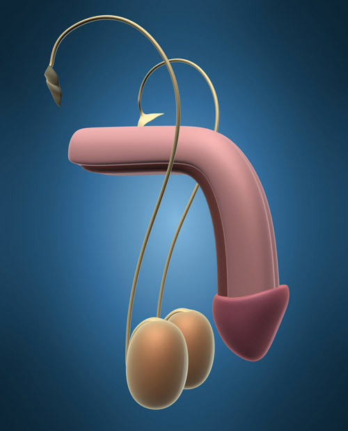 Foto Hemera/Thinkstock