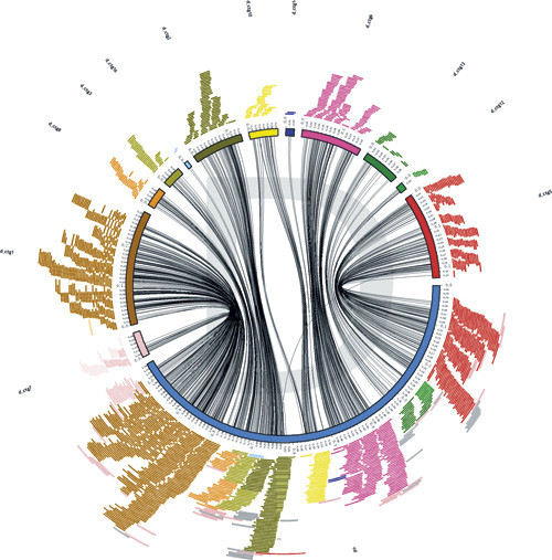 Sirkul&aelig;r fremstilling av Chlamydia trachomatis-genomet. Foto Science Photo/ NTB scanpix