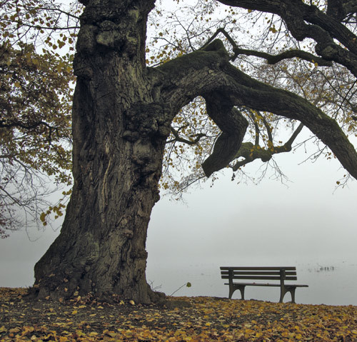 Illustrasjonsfoto Istockphoto