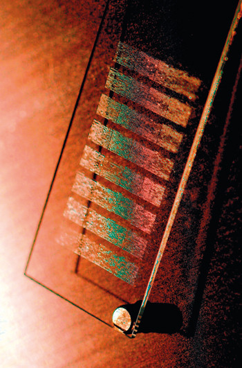 Illustrasjonsfoto Science Photo Library/NTB scanpix