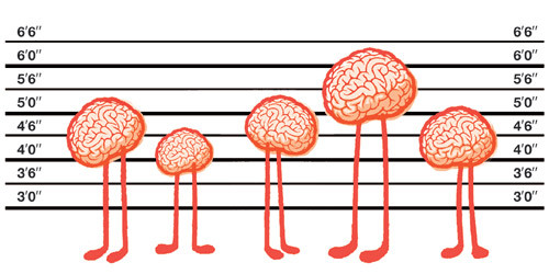 Illustrasjon Supern&oslash;tt popsl&oslash;yd