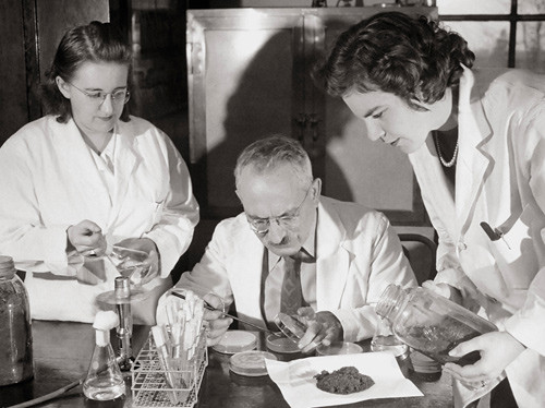 Figur 4  Amerikaneren Selman Waksman (1888&thinsp;&ndash;&thinsp;1973) oppdaget streptomycin som det f&oslash;rste antibiotikum til behandling av&hellip;