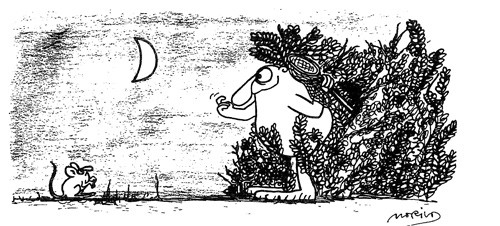 B) &ndash; mens pariakasten m&aring; ligge p&aring; lur bak en busk.