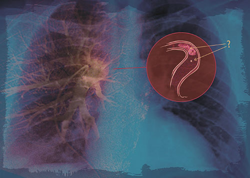 Illustrasjon &copy; Stein L&oslash;ken