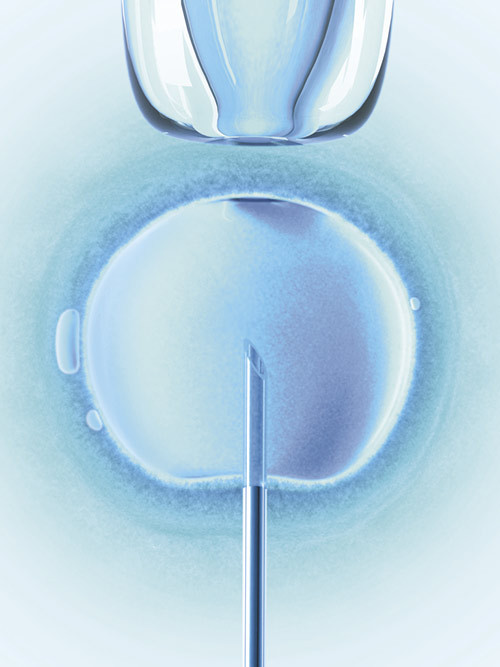 Illustasjonsfoto Istockphoto