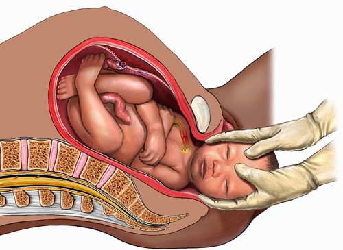 Illustrasjonsfoto Science Photo Library/NTB scanpix