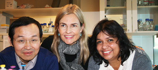 Medforfattere Weiwen Yang og Johanna Olweus og f&oslash;rsteforfatter Shraddha Kumari. Foto: privat