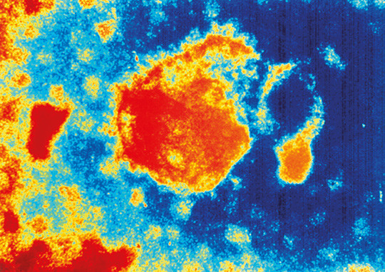 Illustrasjonsfoto: NTB scanpix