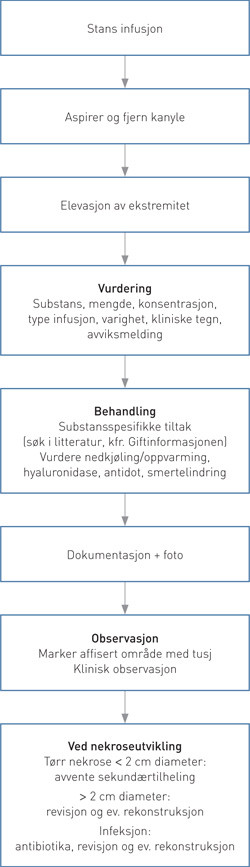 Figur 2  Algoritme brukt ved Oslo universitetssykehus ved ekstravaseringsskader