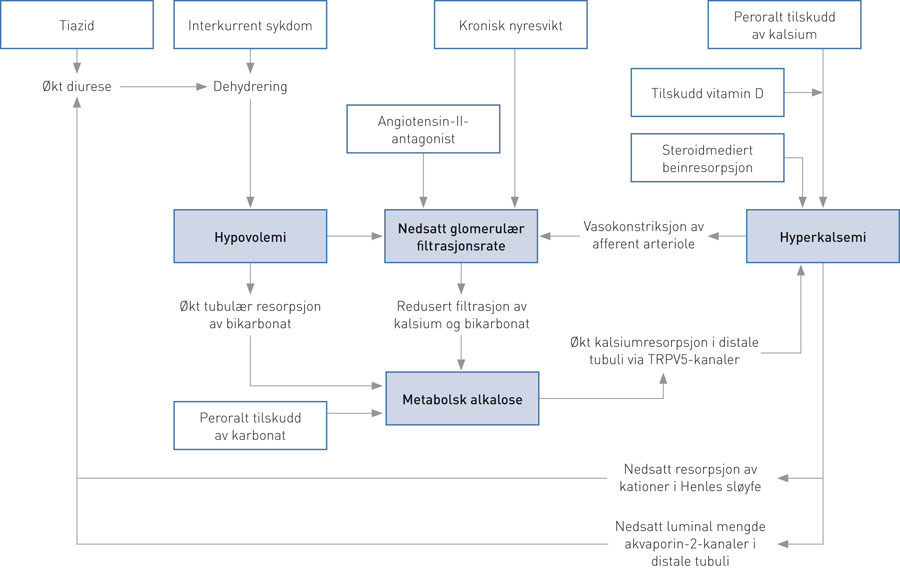 Figur 1  Flere faktorer bidrar sammen til &aring; etablere en selvforsterkende mekanisme, der hovedelementene hypovolemi,&hellip;