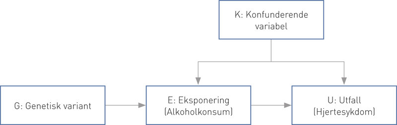 Figur 1  Rettet asyklisk graf som illustrerer prinsippet bak mendelsk randomisering. Metoden bruker genetiske varianter for&hellip;