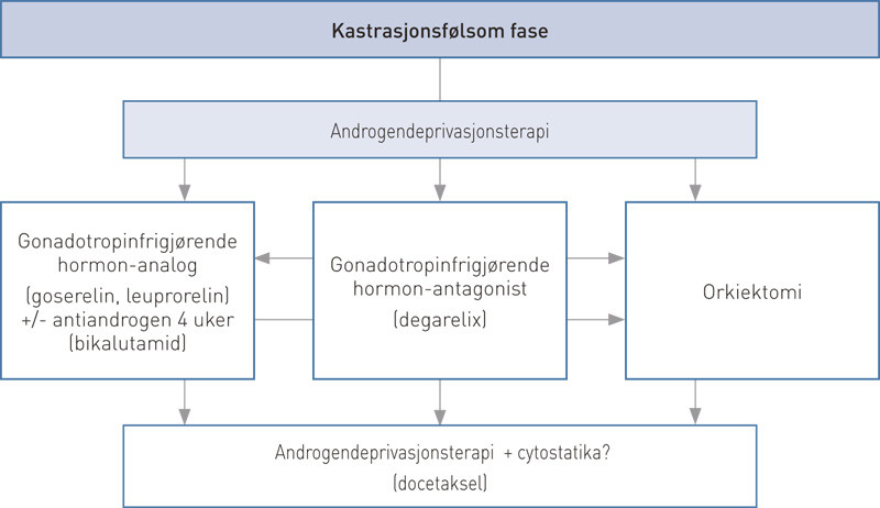 Figur 1  V&aring;rt forslag til behandlingsalgoritme for kastrasjonsf&oslash;lsom metastatisk prostatakreft. I den kastrasjonsf&oslash;lsomme&hellip;